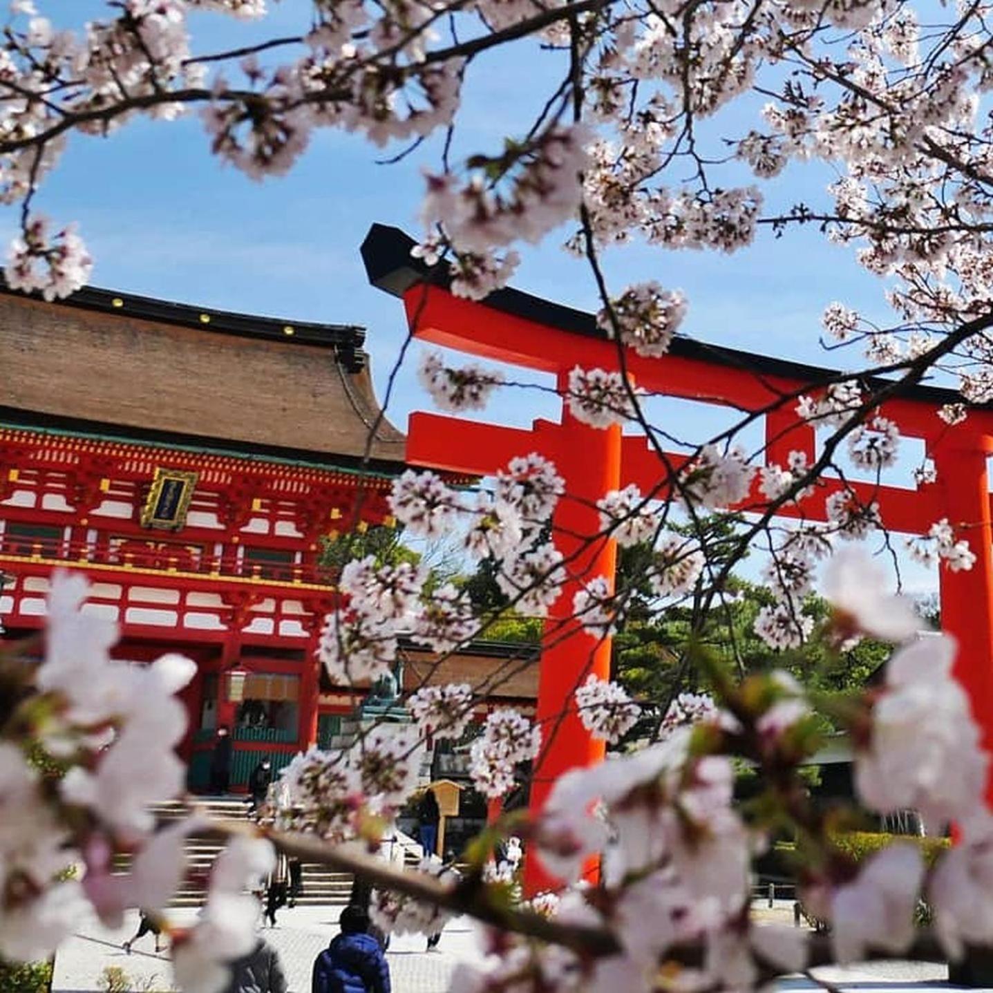 Kyoto Jujo 01アパートメント エクステリア 写真